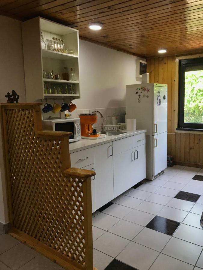 Green Villa Accommodation Costinesti Esterno foto